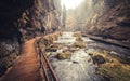 Kamnitz Gorge in Saxon switzerland national park Royalty Free Stock Photo