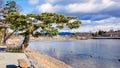 Kamogawa River (Kyoto, Japan) Royalty Free Stock Photo