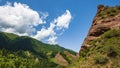 The Kampala National Forest Park