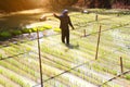 KAMPHAENG PHET, THAILAND Ã¢â¬â FEBRUARY 04, 2014 : Smiling people walking on the floating rice farm on the February 04, 2014 in