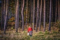 Kampinos Forest in Poland