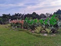 Kampoeng Organik, Jambi City, Indonesia