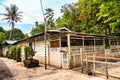 Kampong Lorong Buangkok, last surviving kampong, is a village located in Buangkok in Hougang, Singapore. Royalty Free Stock Photo