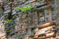 Sambor Prei Kuk in Kampong Thom, Cambodia. It is part of the Temple Zone of Sambor Prei Kuk World Heritage Site