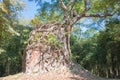 Sambor Prei Kuk in Kampong Thom, Cambodia. It is part of the Temple Zone of Sambor Prei Kuk World Heritage Site