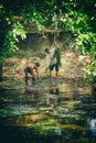 Cambodian people man and boy collect seaweed wrack of the lake in Kep National Park, Cambodia