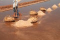 Kampot Salt Field worket harvesting salt Royalty Free Stock Photo