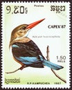 KAMPUCHEA - CIRCA 1987: A stamp printed in Kampuchea shows Grey-headed kingfisher Halcyon leucocephala, circa 1987.