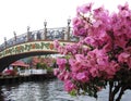 Kampung Morten bridge in Melaka Royalty Free Stock Photo