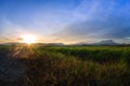 Kampung Sangkir, Kota Kelud, Kota-Kinabalu, Sabah, Malaysia Paddy Field Sunrise Hour