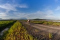 Kampung Sangkir, Kota Kelud, Kota-Kinabalu, Sabah, Malaysia Paddy Field Sunrise Hour