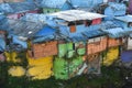 Kampung Warna-Warni Jodipan, the colorful village in Malang, Indonesia Royalty Free Stock Photo