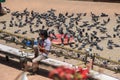 A huge flock of pigeons on Kathmandu street near the Buddhist stupa