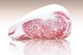 Kamui Wagyu beef fat, high quality marble Strip Lloyd reflected on the ground. Royalty Free Stock Photo