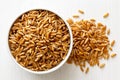Kamut wheat kernels Royalty Free Stock Photo