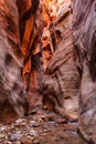 Kanarra creek slot canyon in Zion national park, Utah