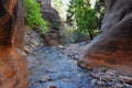 Kanarraville Falls, views from along the hiking trail of falls, stream, river, sandstone cliff formations Waterfall in Kanarra Cre