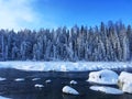 Icy Kanas Forest in Winter