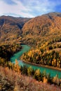 Kanas River Royalty Free Stock Photo