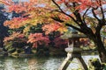 Kanazawa, Ishikawa, Japan fall season at Kenrokuen Gardens