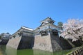 Kanazawa old castle cherry blossom tree Japan Royalty Free Stock Photo