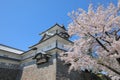 Kanazawa old castle cherry blossom tree Japan Royalty Free Stock Photo