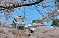 Kanazawa old castle cherry blossom tree Japan Royalty Free Stock Photo