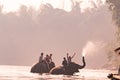 KANCHANABURI, THAILAND - FEB, 2018 : tourism ride the elephant to take a shower at Kwai river, travel and adventure activity in Th Royalty Free Stock Photo