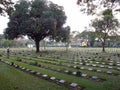 A man looks at a grave at the World War II Army Fighters Military Cemetery in Kanchanaburi, Thailand Royalty Free Stock Photo