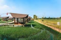 KANCHANABURI-THAILAND,MARCH 30, 2023 : Beautiful landscape in Japanese architectural style resting in the midst of verdant rice Royalty Free Stock Photo