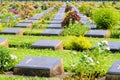 Kanchanaburi War Cemetery (Don Rak) Royalty Free Stock Photo