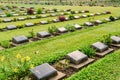 Kanchanaburi War Cemetery (Don Rak) Royalty Free Stock Photo