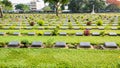 Kanchanaburi War Cemetery (Don Rak) Royalty Free Stock Photo