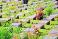 Kanchanaburi War Cemetery, Kanchanaburi, Thailand