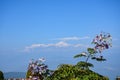 Mount Kanchenjunga range from Rishyap home stay , Kalimpong Royalty Free Stock Photo