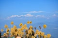 Mount Kanchenjunga range from Rishyap home stay , kalimpong Royalty Free Stock Photo
