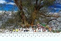 View on holy bodhi tree with crowd many buddhist pilgrims worshipping sacred tooth against blue summer sky Royalty Free Stock Photo