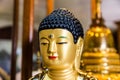 Buddha in Temple of the Tooth. Kandy, Sri Lanka Royalty Free Stock Photo