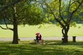 Couple relax at the palm trees alley in the Peradeniya Royal Botanical Garden in Kandy, Sri Lanka