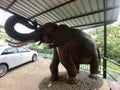 Kandy, Sri Lanka, November 2019 - A large elephant standing next to a car