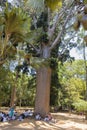 Kandy, Sri Lanka: 03/19/2019: Peradeniya Botanical Gardens school children and teacher seated under tree eating lunch