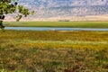 White Pelicans in the Bighorn Lake Basin with a View of the Highway 14A Bridge in Northern Wyoming. Royalty Free Stock Photo