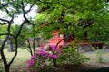 Kaneiji Temple at Ueno Park, spring time