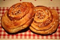 Kanelbullar, Zimtschnecken, Cinnamon Rolls