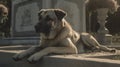 a Kangal breed dog lying generative AI