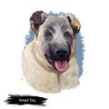 Kangal Dog, Kangal Shepherd Dog, Sivas Kangal, Turkish Kangal, Anatolian Shepherd dog digital art illustration isolated on white