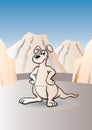 Kangaroo Royalty Free Stock Photo