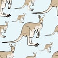 Kangaroo animal is a canada seamless pattern. Vector background. Royalty Free Stock Photo