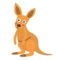 Kangaroo animal cartoon character vector illustration