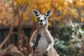 Kangaroo as a Stand-Up Comedian with a microphone, Generative AI